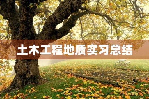 土木工程地质实习总结