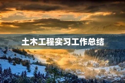 土木工程实习工作总结