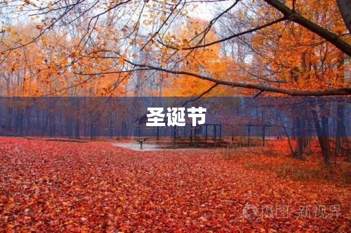 圣诞节