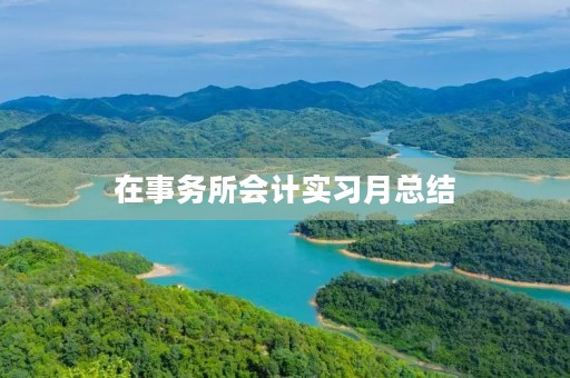 在事务所会计实习月总结