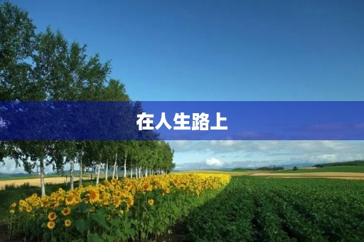 在人生路上 在人生路上
