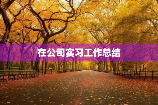 在公司实习工作总结