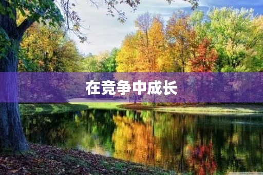 在竞争中成长 在竞争中成长