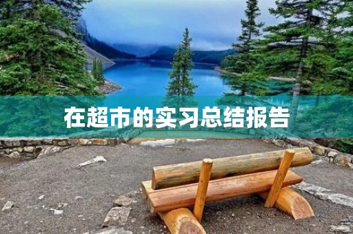 在超市的实习总结报告 在超市的实习总结报告