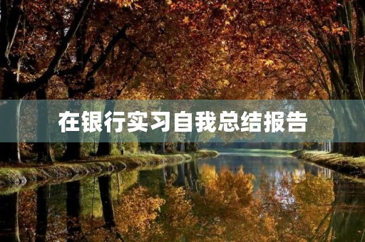 在银行实习自我总结报告