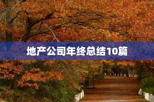 地产公司年终总结10篇