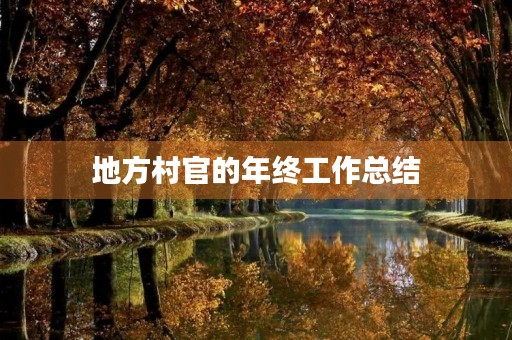 地方村官的年终工作总结