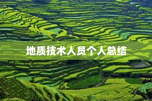 地质技术人员个人总结