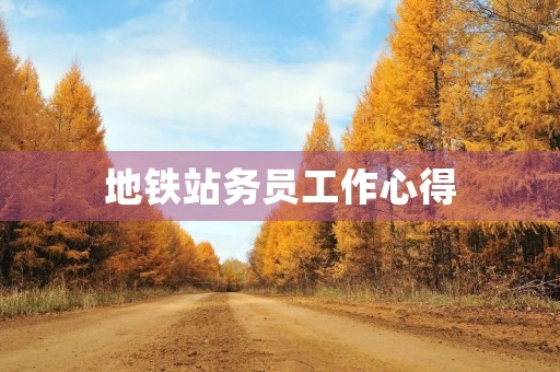 地铁站务员工作心得