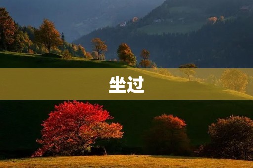 坐过 坐过