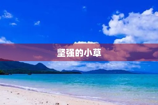 坚强的小草