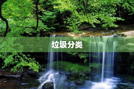 垃圾分类