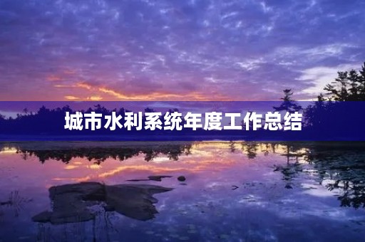 城市水利系统年度工作总结
