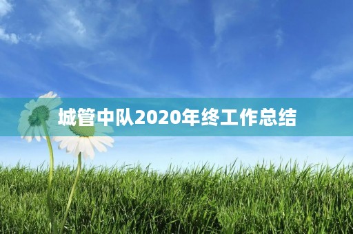 城管中队2020年终工作总结 城管中队2020年终工作总结