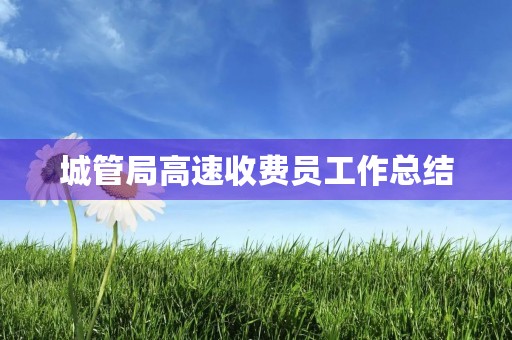 城管局高速收费员工作总结