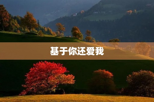 基于你还爱我
