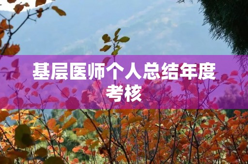 基层医师个人总结年度考核