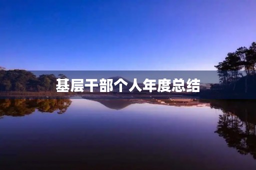 基层干部个人年度总结
