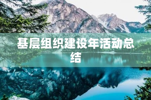 基层组织建设年活动总结 基层组织建设年活动总结