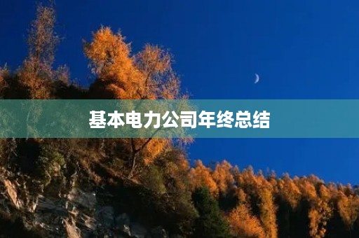 基本电力公司年终总结
