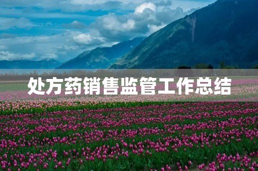 处方药销售监管工作总结