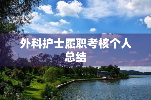 外科护士履职考核个人总结