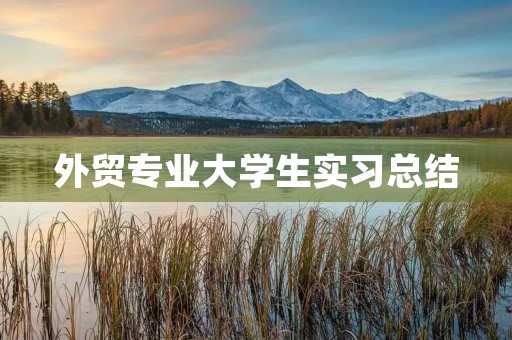 外贸专业大学生实习总结 外贸专业大学生实习总结