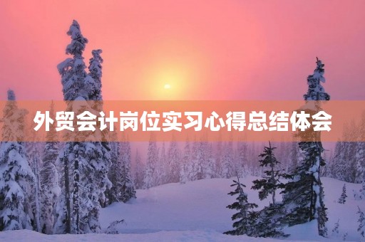 外贸会计岗位实习心得总结体会 外贸会计岗位实习心得总结体会