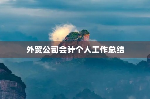 外贸公司会计个人工作总结