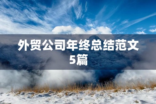 外贸公司年终总结范文5篇