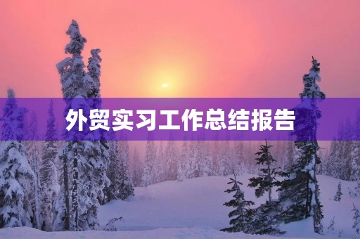 外贸实习工作总结报告 外贸实习工作总结报告