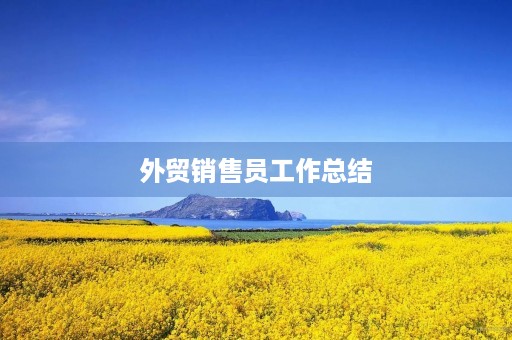 外贸销售员工作总结