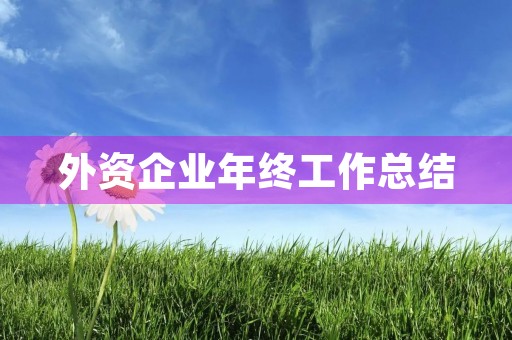 外资企业年终工作总结（8篇）