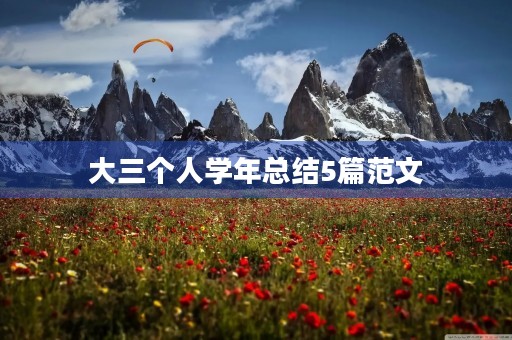 大三个人学年总结5篇范文 大三个人学年总结5篇范文