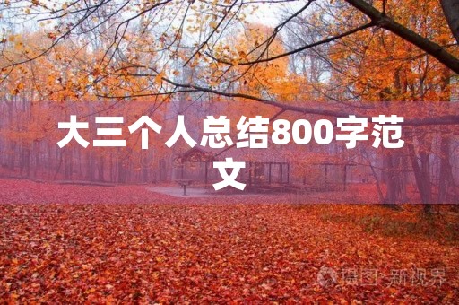大三个人总结800字范文