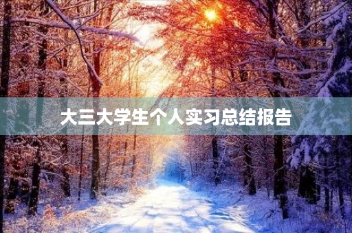 大三大学生个人实习总结报告