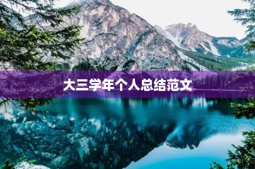 大三学年个人总结范文