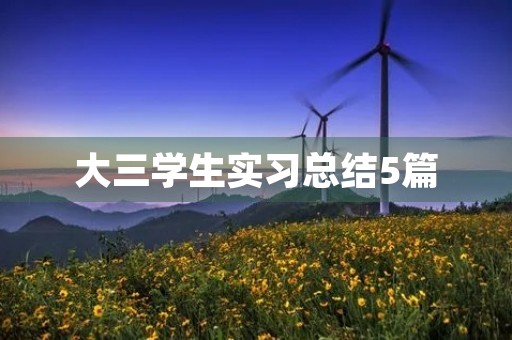 大三学生实习总结5篇 大三学生实习总结5篇