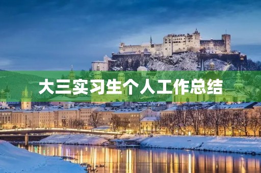 大三实习生个人工作总结