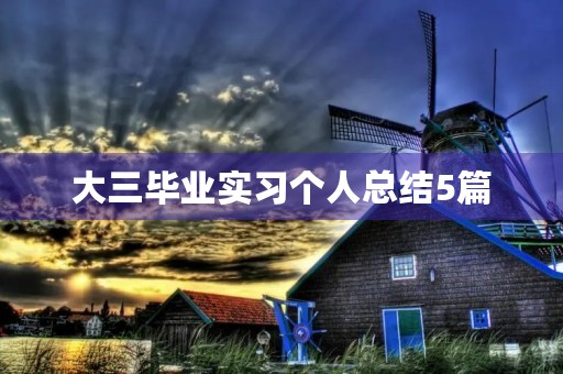 大三毕业实习个人总结5篇