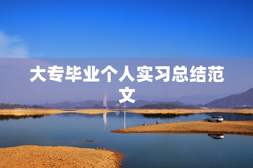 大专毕业个人实习总结范文