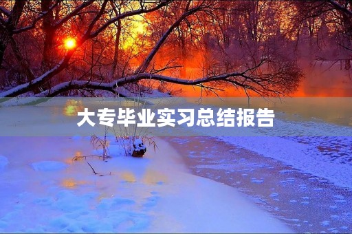 大专毕业实习总结报告