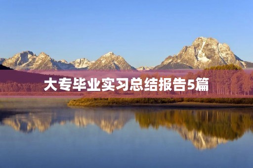 大专毕业实习总结报告5篇