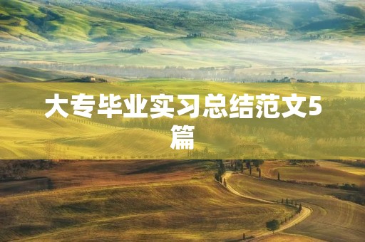 大专毕业实习总结范文5篇