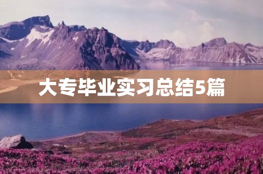 大专毕业实习总结5篇