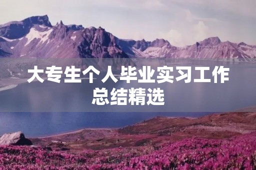 大专生个人毕业实习工作总结精选（10篇）