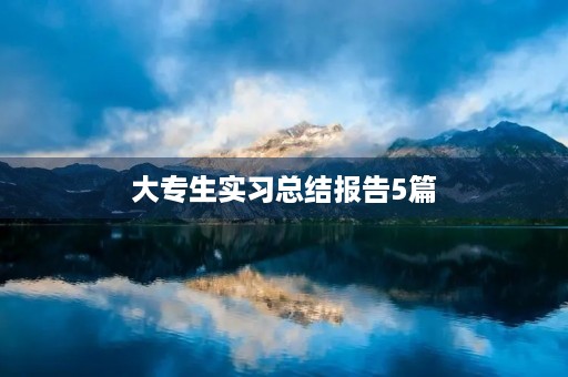 大专生实习总结报告5篇 大专生实习总结报告5篇