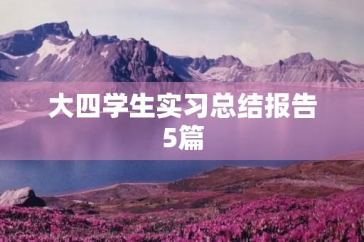 大四学生实习总结报告5篇