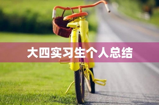 大四实习生个人总结【最新】