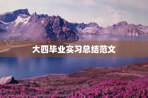 大四毕业实习总结范文